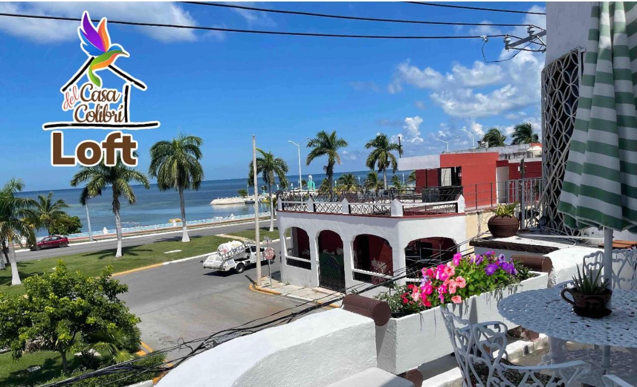 La Casa Del Colibri Apartment Campeche Ngoại thất bức ảnh