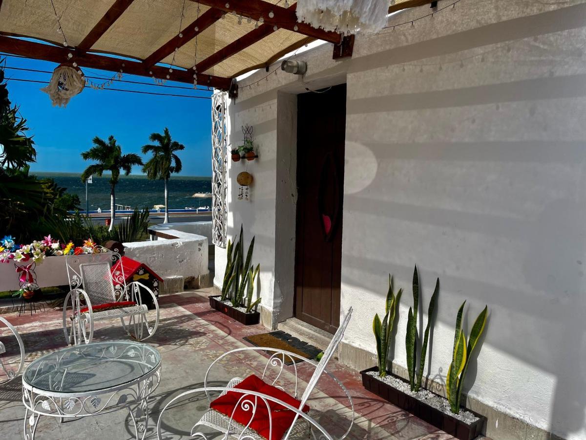 La Casa Del Colibri Apartment Campeche Ngoại thất bức ảnh