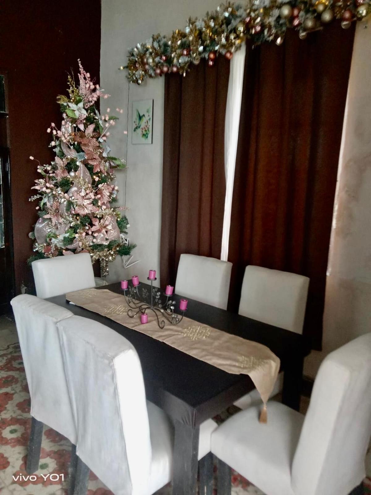 La Casa Del Colibri Apartment Campeche Ngoại thất bức ảnh